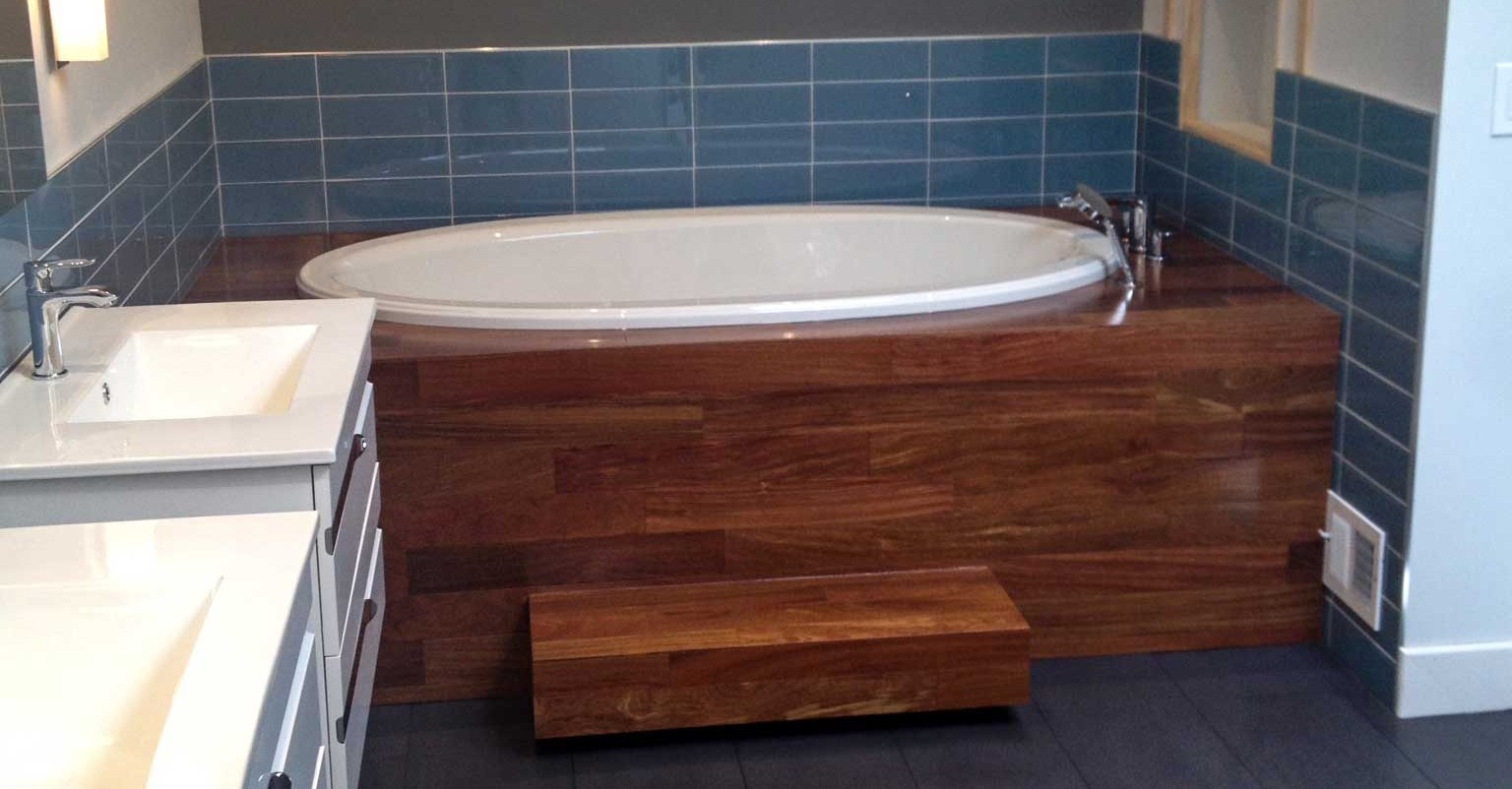 newtransitionsstl-bathroom-tub-modern